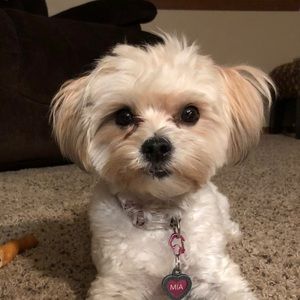 Meet your Posher, Erin